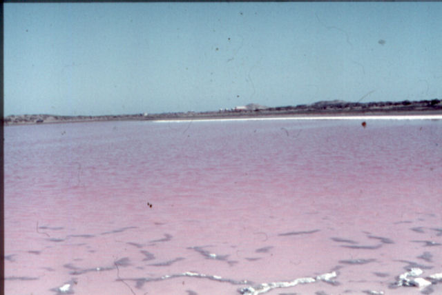 pan2