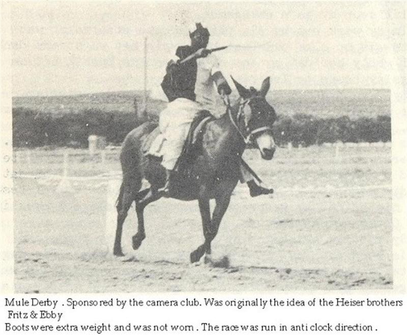 Mule Derby in Omund