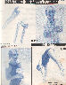 Jan 1976