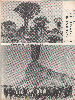 August 1976
